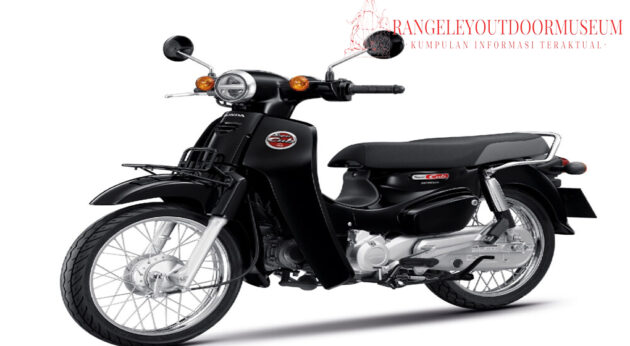 Apa Itu Motor Custom? Ini Penjelasan Lengkap dan Evolusinya dari Klasik sampai Modern Apa Itu Motor Custom? Ini Penjelasan Lengkap dan Evolusinya dari Klasik sampai Modern - motor custom