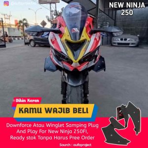 Winglet New Ninja Fi